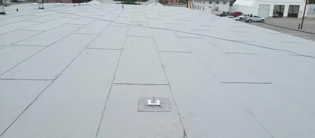468751732_1131710011910098_7027279867593846846_n